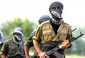 PKK-ya qarşı əməliyyat: 1480 nəfər ələ keçirildi